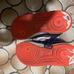 NIKEスニーカー　中古　25cmの画像