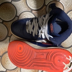 NIKEスニーカー　中古　25cmの画像