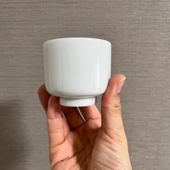 おちょこの画像