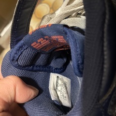 NIKEスニーカー　中古　25cmの画像