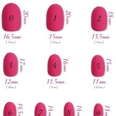 コスメ/ヘルスケア ネイルの画像