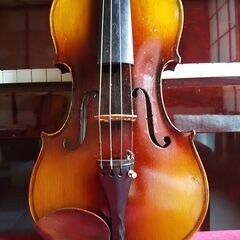 ◆チェコスロヴァキア1975年製「ｽﾄﾗﾄﾞのCopyﾊﾞｲｵﾘﾝ」大人用４／４◆の画像