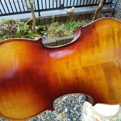 ◆チェコスロヴァキア1975年製「ｽﾄﾗﾄﾞのCopyﾊﾞｲｵﾘﾝ」大人用４／４◆の画像