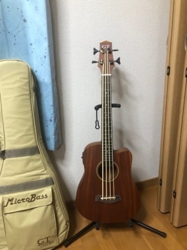 マイクロベース　アコースティックベース