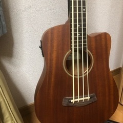 マイクロベース　アコースティックベースの画像