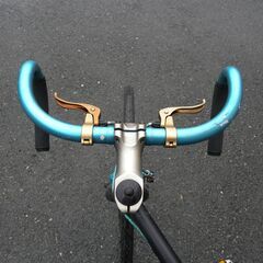 商談中・a,n,デザイン・ピストバイク、トリプルトライアングル・エレベイテッドチェーンステイ、現状渡しの画像