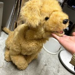 ☆中古￥2,500！夢いぬDX　大型犬人形　家電　幅30㎝ｘ奥行...