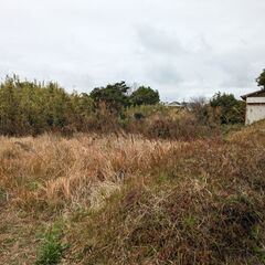 南九州市知覧町の1500坪の広大な土地をお貸しします - 賃貸（マンション/一戸建て）