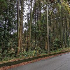 南九州市知覧町の1500坪の広大な土地をお貸しします - 不動産