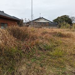 南九州市知覧町の1500坪の広大な土地をお貸しします − 鹿児島県