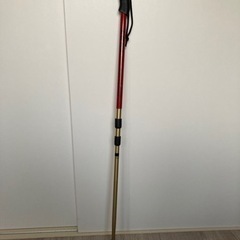 スポーツ ゴルフ