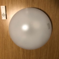 HotaluX(ホタルクス) LEDシーリングライト HLDZ0...