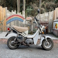 【】実働車　ヤマハ　チャピィ50  66,000円（税込）の画像