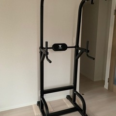懸垂マシン steady115