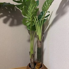 【交渉中】生活雑貨 家庭用品 ガーデニング