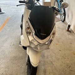 pcx
