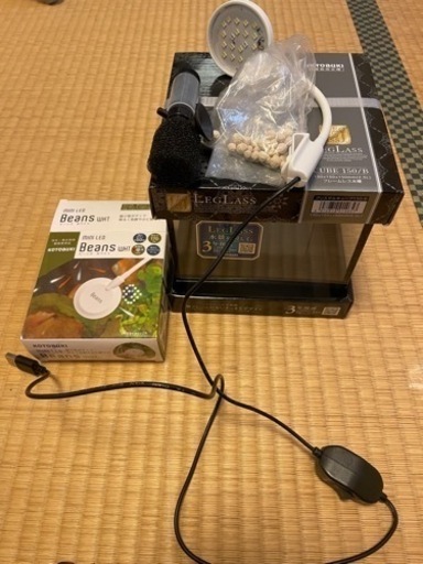 水槽類