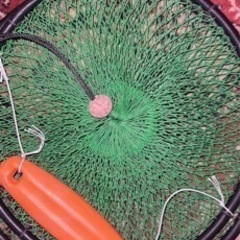 釣り用すかりの画像