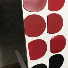 卓球　本日やりましょう！　場所千葉