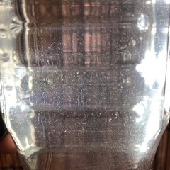 ゾウリムシ 約700ml（エビオス錠10錠付き）メダカ飼育中は掲載しています。の画像