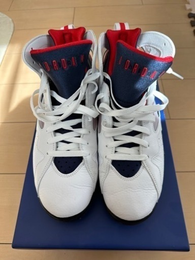 エアジョーダン7 PSG 【28.5cm】中古