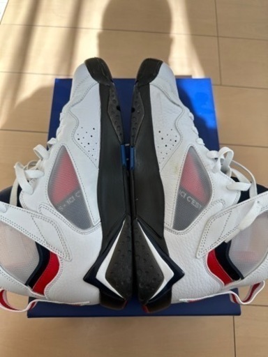 エアジョーダン7 PSG 【28.5cm】中古