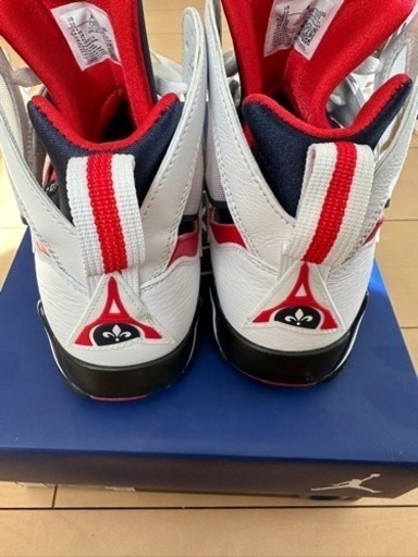 エアジョーダン7 PSG 【28.5cm】中古