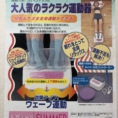 スイングスリマー SWING SLIMMER アイアン 金魚運動ちゃん 美容