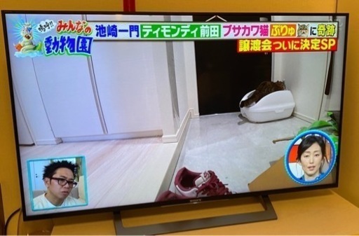 SONY 49インチテレビ+テレビボード