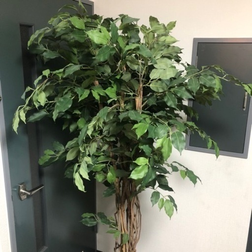 ※商談中値下げ　観葉植物　フェイクグリーン 大きめ　3/26までの出品です