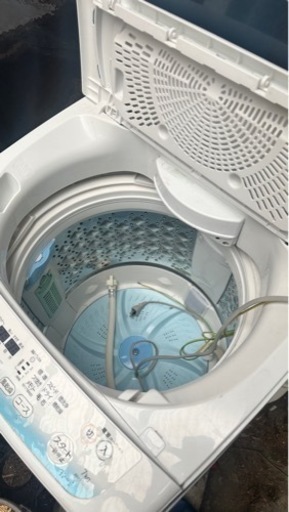 TOSHIBA 洗濯機7Kg