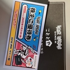 ヴィレッジヴァンガード優待券