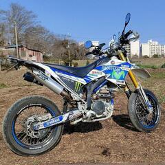 WR250X
