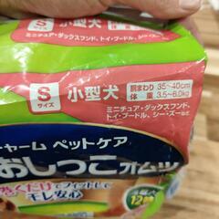 わんこ用おむつの画像