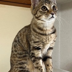 元気で可愛いルナちゃん