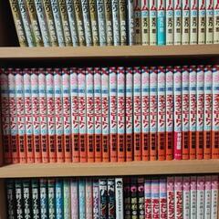 スキップビート　48まで　本/CD/DVD マンガ、コミック、アニメ