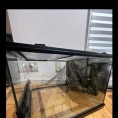 グラステラリウム4530の画像