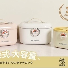 ✨️1点限定✨️ジュエリーボックス アクセサリーケース
