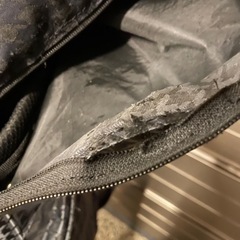 ミズノのゴルフ用キャリーバッグの画像