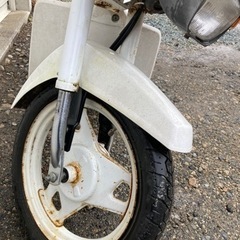 スズキ　スーパーモレ　　　　　の画像