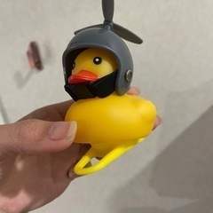 未使用　あひる　ホーンの画像