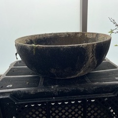 水鉢