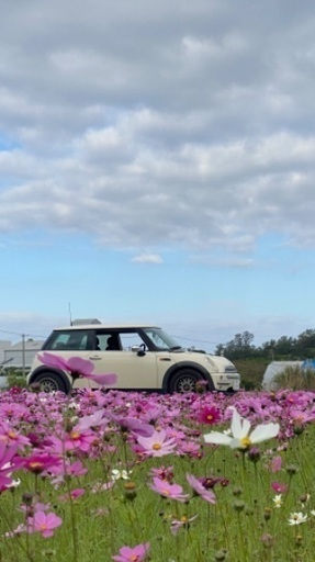 ミニクーパー　mini one