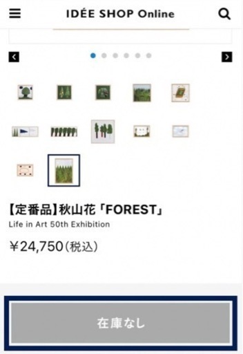 【IDEE】《撮影にのみ使用美品・SOLD OUT品》秋山花 「FOREST」 Life in Art 50th Exhibition