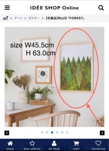 【IDEE】《撮影にのみ使用美品・SOLD OUT品》秋山花 「FOREST」 Life in Art 50th Exhibition