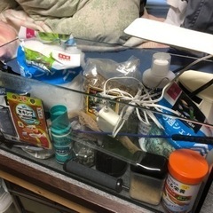 水槽セット　魚飼育セットの画像