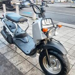 ホンダズーマー❗
