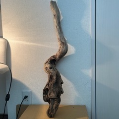 インテリア、小物