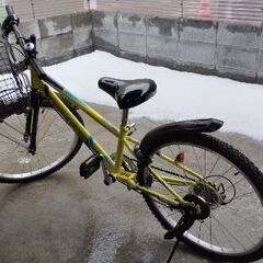 自転車　子供向けの画像