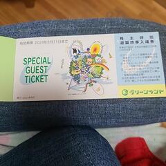 グリーンランド入場券